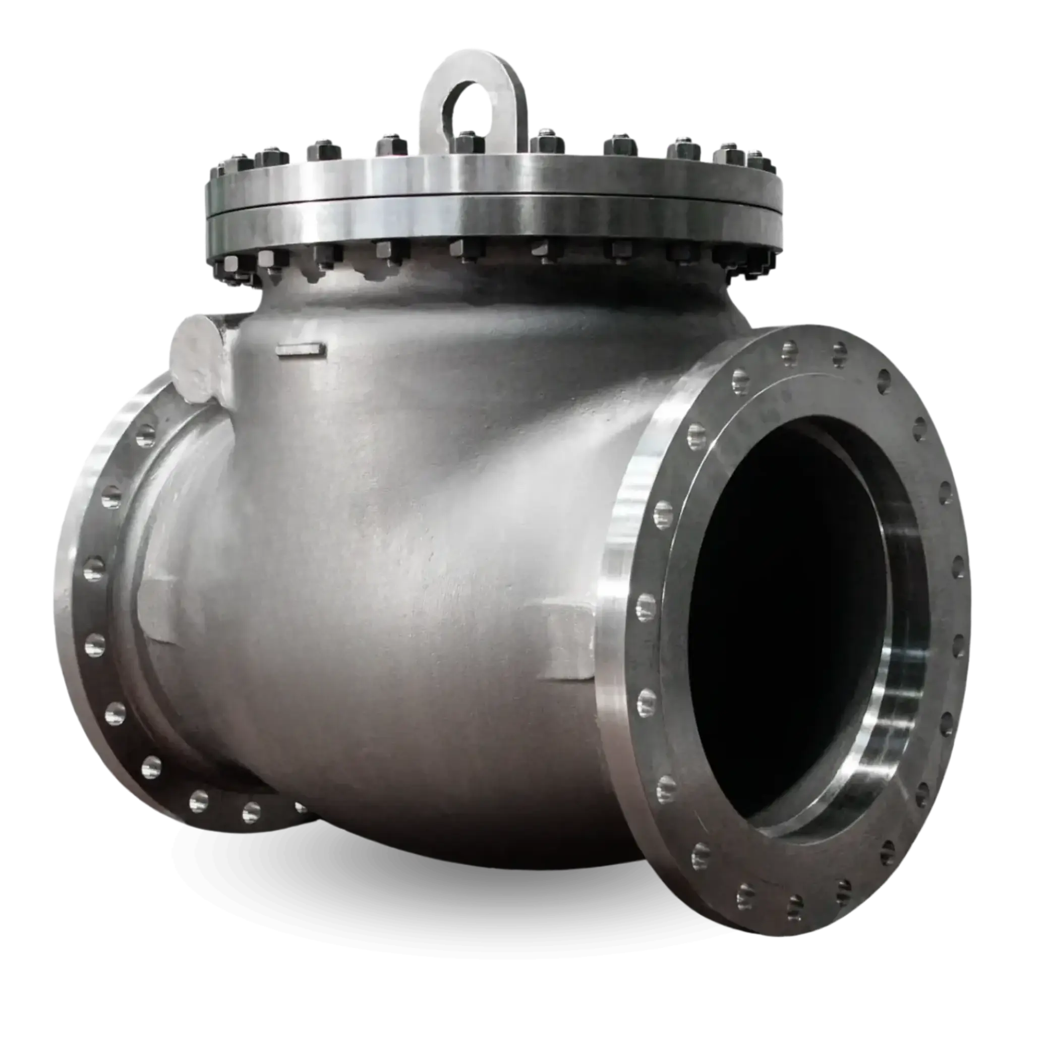Cryogenic-bolted-bonnet-swing-check-valve_web-e1730889049838